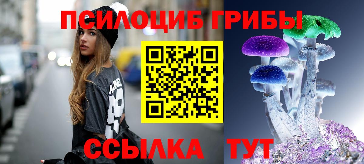 Галлюциногенные грибы мицелий  Вход с VPN  Кисловодск  Галлюциногенные грибы мицелий 