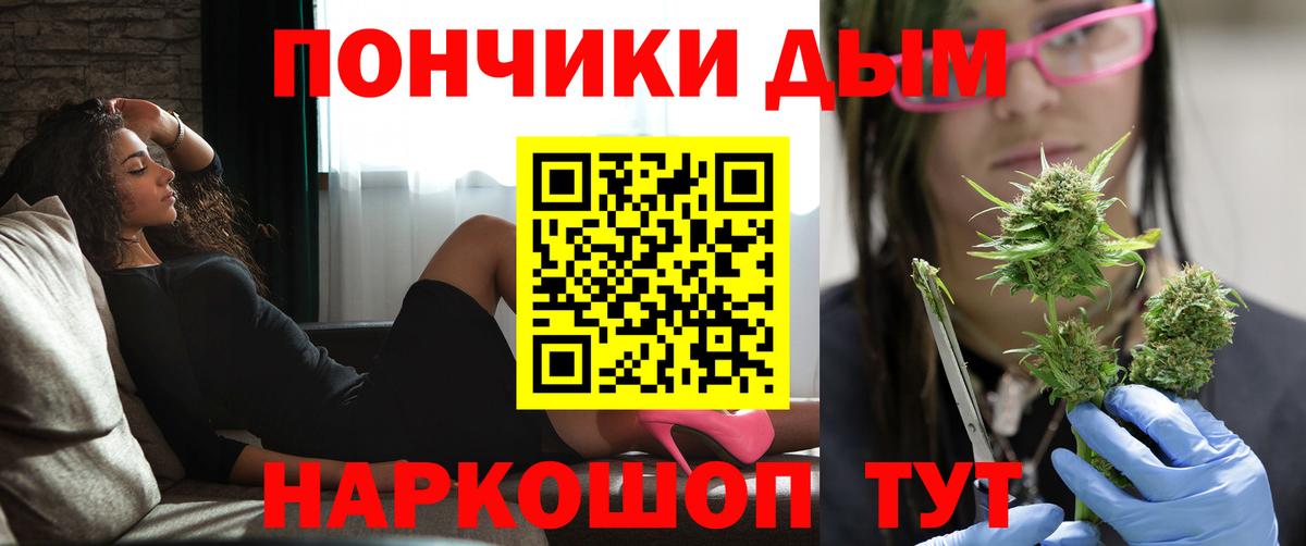 Конопля ГИДРОПОН  Каннабис гибрид  Кисловодск  Вход с VPN  Конопля VHQ 